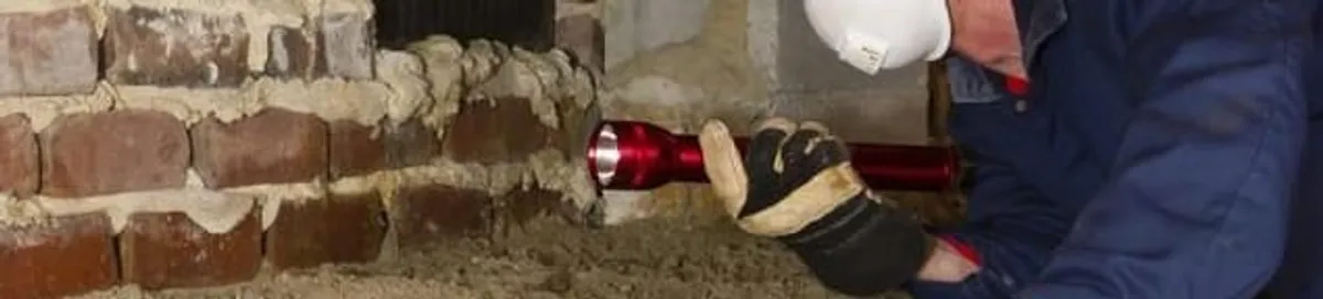 Pest control technician inspecting a crawl space for ant activity and entry points in Columbia, SC