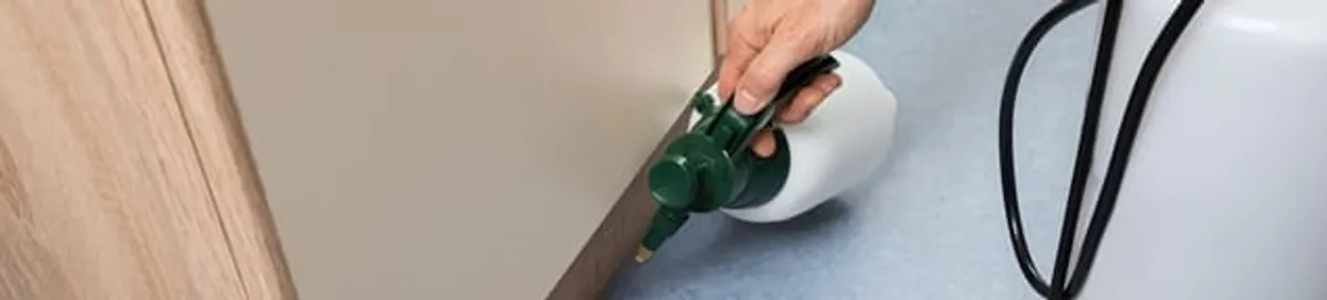 Bed bug exterminator treating baseboards and cracks with targeted spray in Columbia, SC