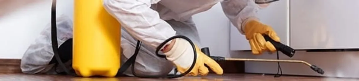 Roach exterminator treating cracks and crevices along kitchen baseboards in Columbia, SC