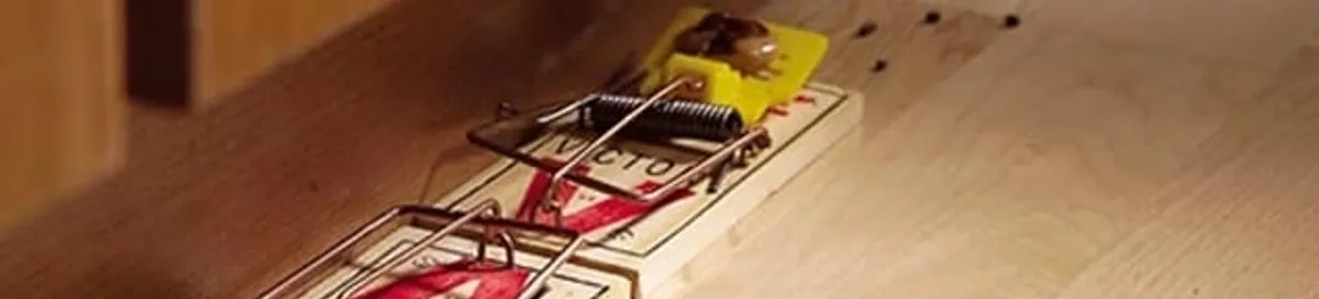 Rodent trap set indoors for rodent control and prevention in Columbia, SC